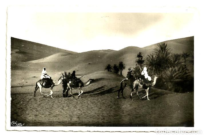 Cartes Postales: POSTAL DE MARRUECOS (ESCENAS T&Iacute;PICAS)