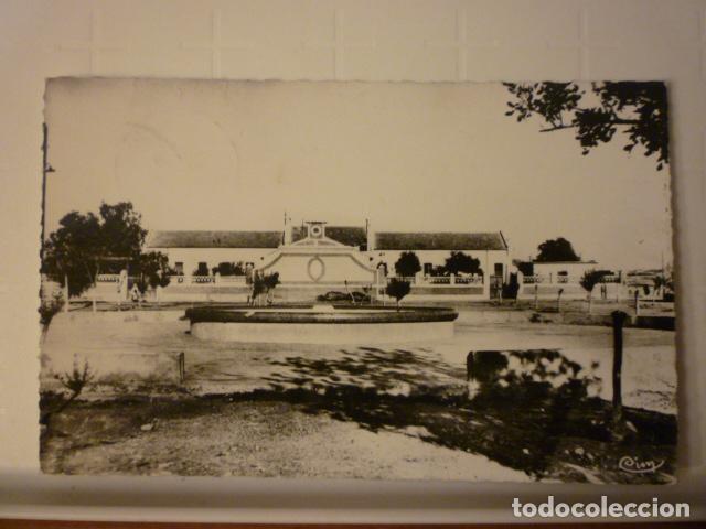 Postais: POSTAL TAOURIRT.