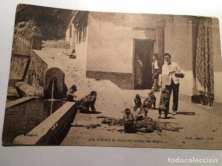 Postais: RM400 TARJETA POSTAL ORIGINAL A&Ntilde;OS 20/30 COL. GREGORI ARABE MONO MONOS