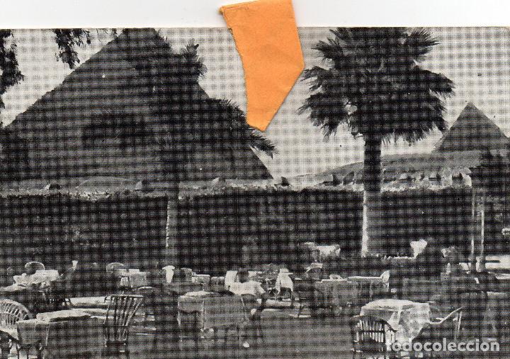 Postales: EL CAIRO  HOTEL MENA HOUSE - Foto 1