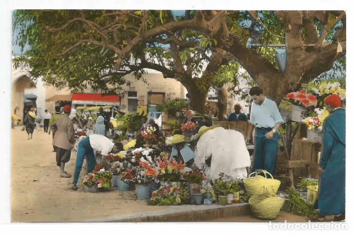 Cartoline: TANGER .- LE MARCHE AUX FLEURS .- PHOTO ROBERT DIRENN .- EDITION JEFF N&ordm; 537