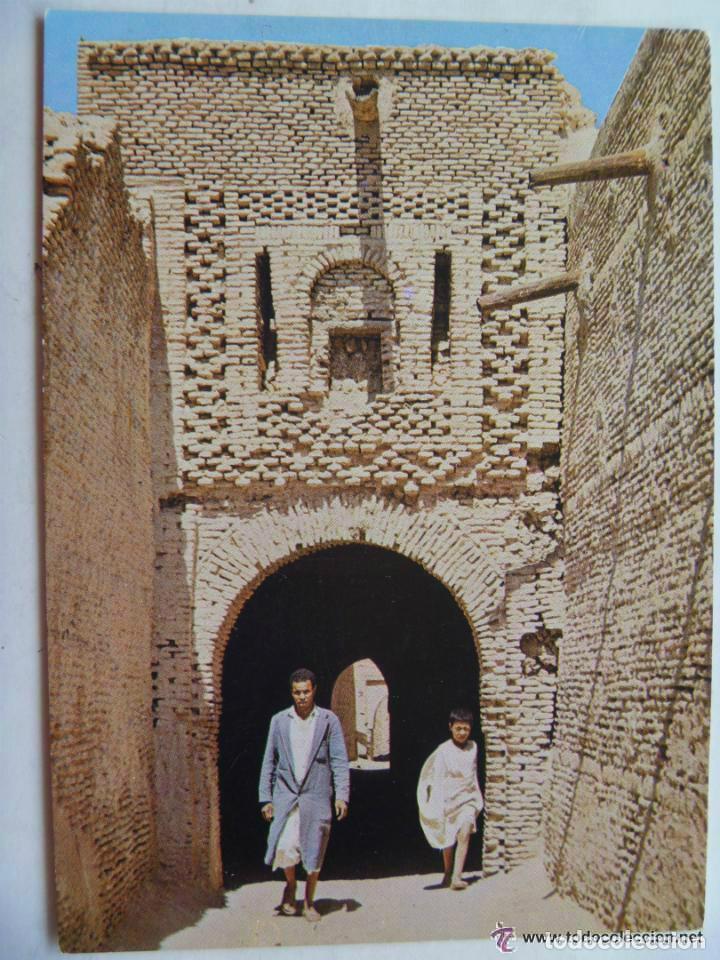 Postkarten: POSTAL DE NEFTA ( TUNEZ ) : CIUDAD VIEJA