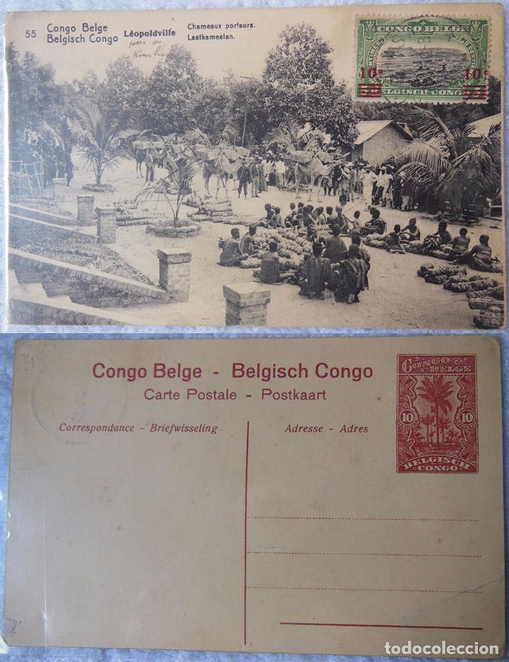Postais: Antigua Postal : CONGO BELGE. L&eacute;opoldville. Chameaux porteurs n&ordm; 55