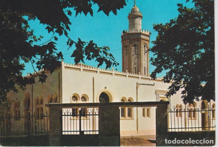 Cartoline: DJIDJELLI (ALGERIA). LA MEZQUITA