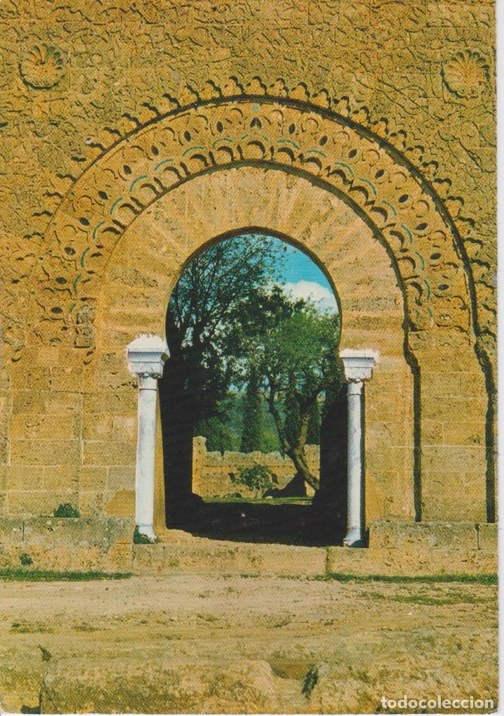 Postales: TLEMCEN (ALGERIA) . RUINAS DE MONSOURAH - Foto 1
