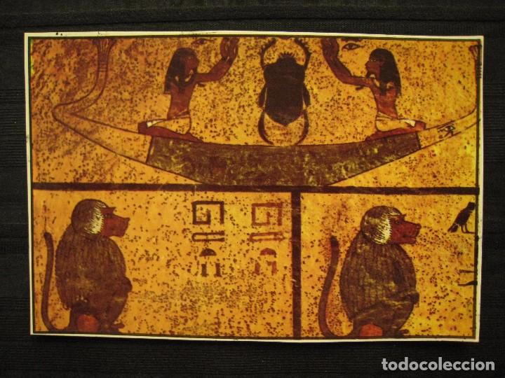 Cartoline: POSTAL EGIPTO - VALLEY OF THE KINGS - TOMB OF TUTANKHAMUN.