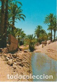 Postales: ZAGORA (MARRUECOS) . OASIS - Foto 1