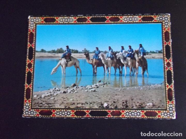Postales: AFRICA-V45-MARRUECOS-NO ESCRITA-LA CARAVANE-TBER-CASABLANCA