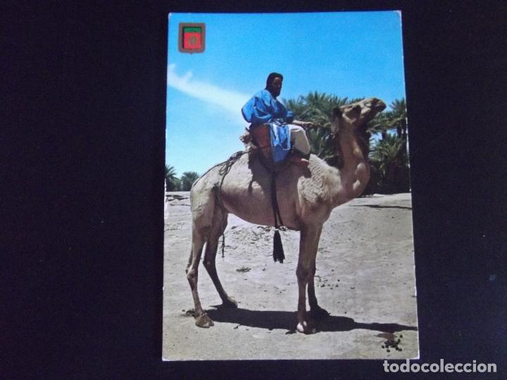 Postales: AFRICA-V45-MARRUECOS-CIRCULADA-N&ordm;2-TIPICO-MEHARISTAS DE M'HAMID-DLB.17598-X