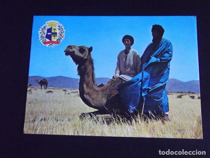 Postales: AFRICA-V45-MARRUECOS-CIRCULADA-P2155-SCENE DU SAHARA MAROCAIN-JEFF