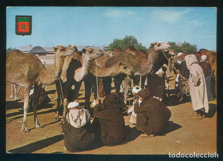 Postales: Marruecos. *March&eacute; au chameaux* Ed. Fisa, Marruecos T&iacute;pico n&ordm; 4. Escrita.