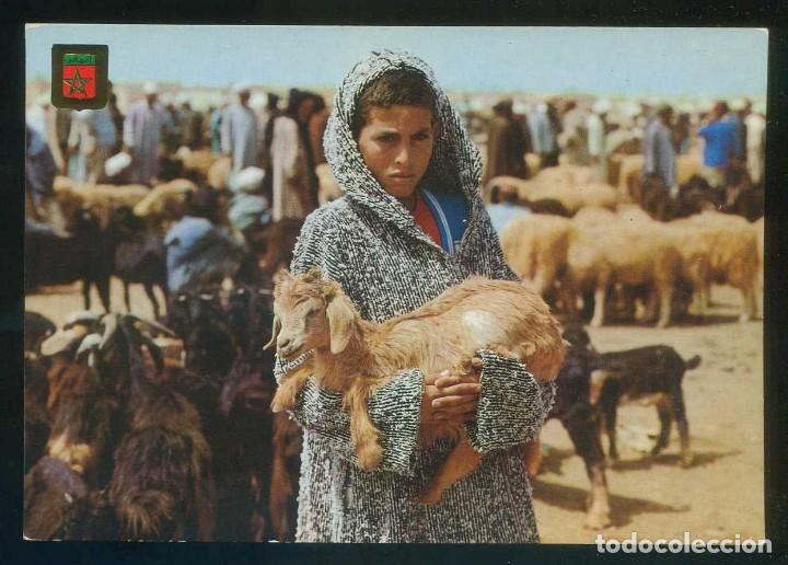 Postales: Marruecos. *March&eacute; de B&eacute;tail* Ed. Fisa-Komaroc, Marruecos T&iacute;pico n&ordm; 57. Nueva.