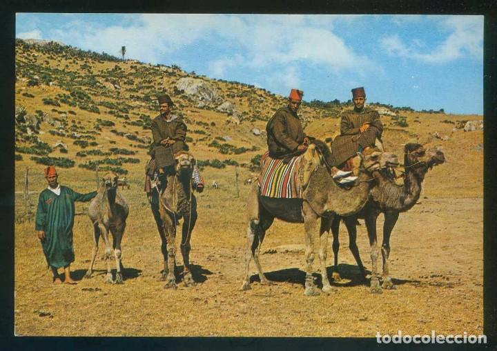 Postales: Marruecos. *Camelleros* Escrita.