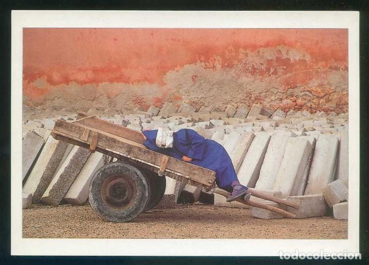 Postales: Marruecos. Essaouira. *Instant de repos* Photo D. Eitzen. Ed. Lif n&ordm; 259. Nueva.