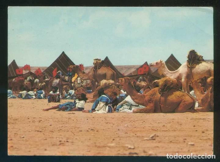Postales: Marruecos. *Sc&egrave;nes et Types du Maroc. Halte dans le desert* Circulada 1982.