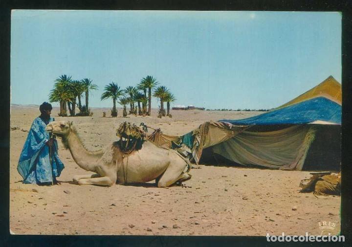 Postales: Marruecos. *Sc&egrave;nes et Types du Maroc. Devant la Haimah...* Circulada 1971.