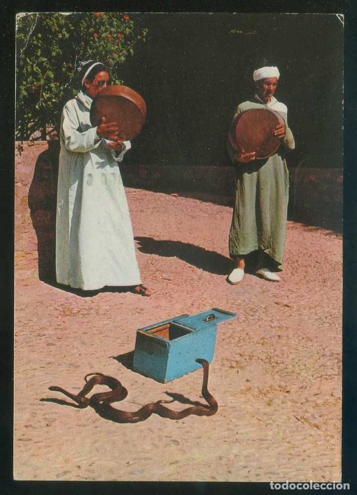 Postales: Marruecos. *Maroc Typique* Ed. La Corona n&ordm; 505. Circulada.