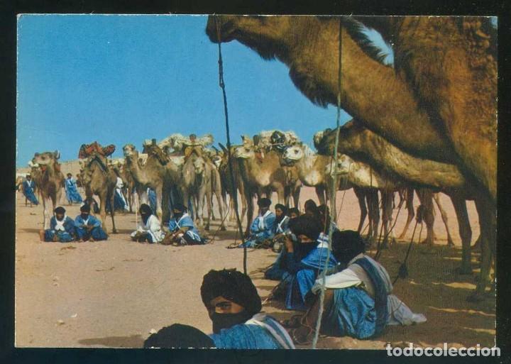 Postcards: Marruecos. *Maroc Typique. Halte au desert* Ed. Ittah n&ordm; 470. Circulada 1977.