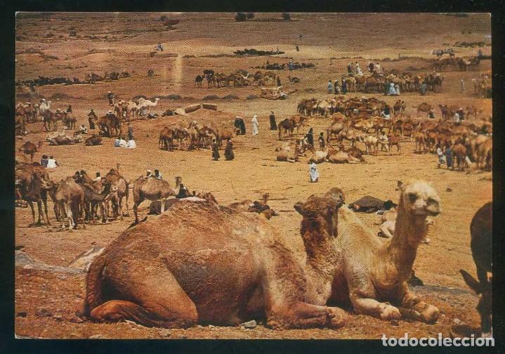 Cartoline: Marruecos. Goulimine. *March&eacute; aux dromadaires* Circulada 1998.