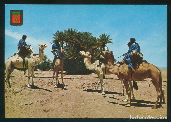 Cartoline: Marruecos. *Caravana de Meharistas de M'Hamid* Ed. Fisa, Marruecos T&iacute;pico n&ordm; 10. Nueva.