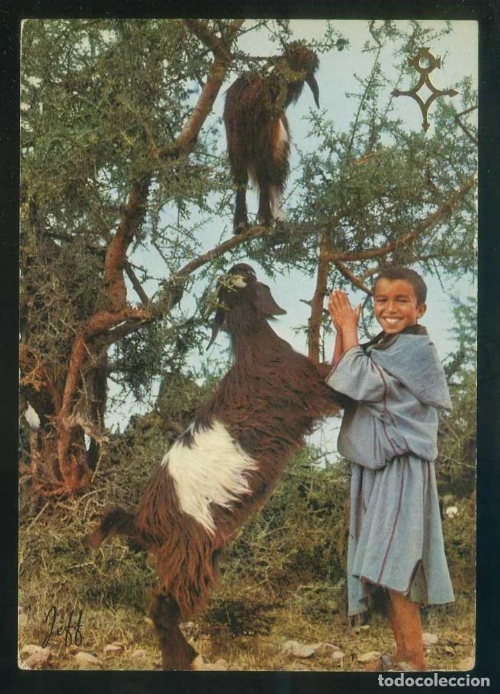 Cartoline: Marruecos. *Petit Berger du Souss* Ed. Jeff n&ordm; 5186B. Nueva.