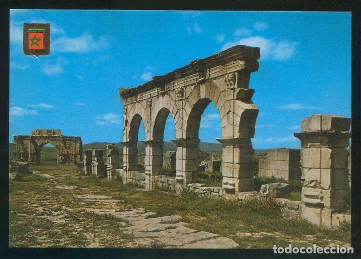 Cartoline: Marruecos. Volubilis. *Ruinas del Foro* Ed. Fisa-Komaroc n&ordm; 5. Nueva.