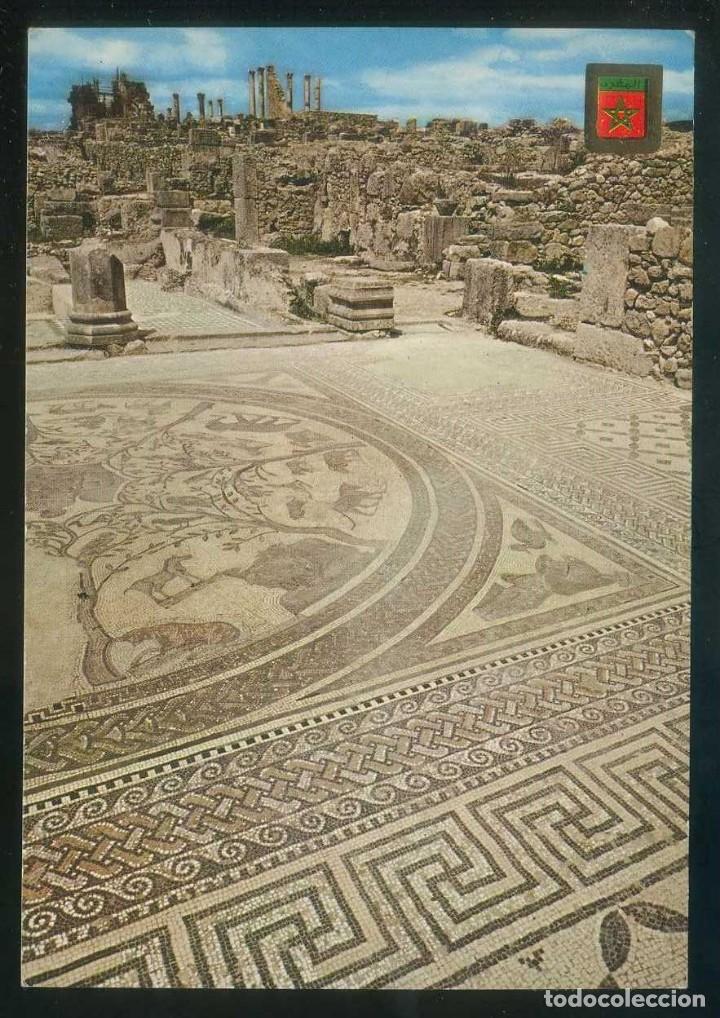 Cartes Postales: Marruecos. Volubilis. *Mosaico de la Casa de Orfeo* Ed. Fisa n&ordm; 4. Nueva.