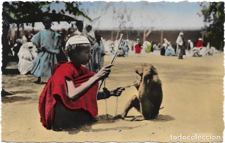 Cartoline: MARRUECOS .- SCENES ET TYPES .- DRESSEUR DE SINGE .- EDITION LA CIGOGNE N&ordm; 95.001.34