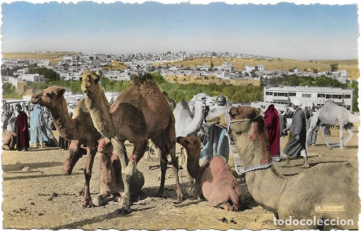 Cartoline: MARRUECOS .- SCENES ET TYPES .- JOUR DE SOUK .- EDITION LA CIGOGNE N&ordm; 95.002.53