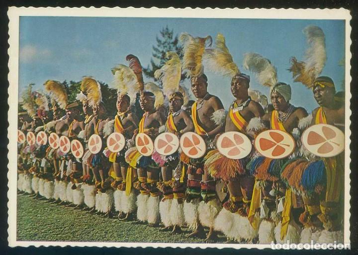 Postais: Sud&aacute;frica. *Group of African Dancers...* Ed. Protea Colour Prints n&ordm; 145. Nueva.