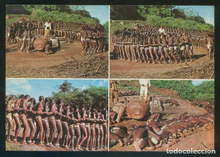 Cartes Postales: Sud&aacute;frica. *Tribal Life. Domba dancers of the Venda tribe...* Ed. Frameworthy n&ordm; BLPC2. Nueva.