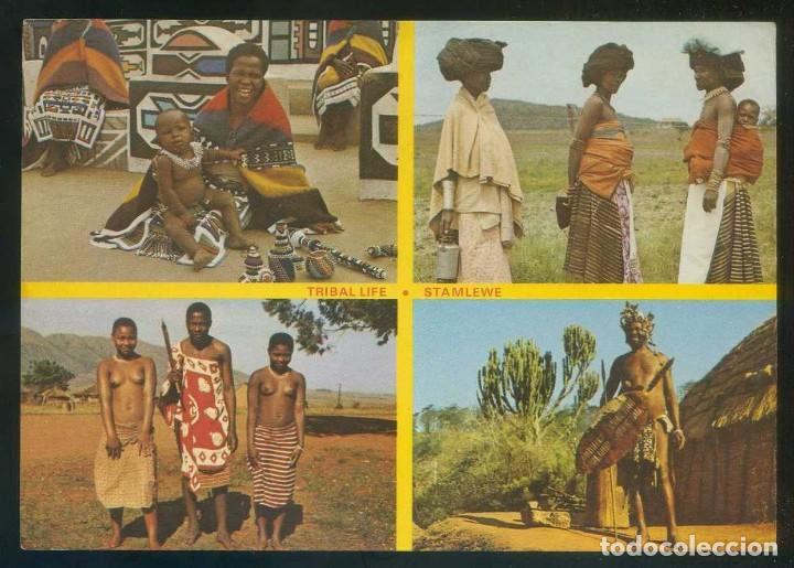 Cartes Postales: Sud&aacute;frica. *Tribal Life. Ndebele bead-seller...* Ed. Frameworthy n&ordm; BLPC 16. Nueva.