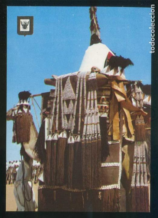 Cartes Postales: Sud&aacute;n. *A bride on a Camel to the new home. Eastern Provinces* Nueva.