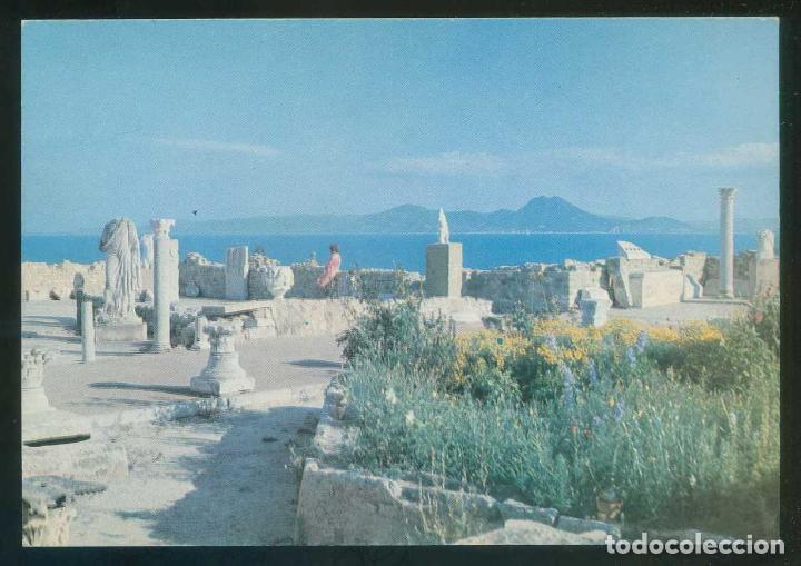 Postais: T&uacute;nez. Carthage. *L'antiquarium* Ed. Tanit n&ordm; 57. Escrita.