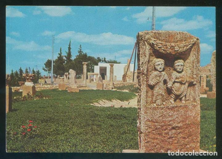 Postais: T&uacute;nez. Carthage. *Ruine Romaine* Ed. C.T.A. n&ordm; 05. Nueva.