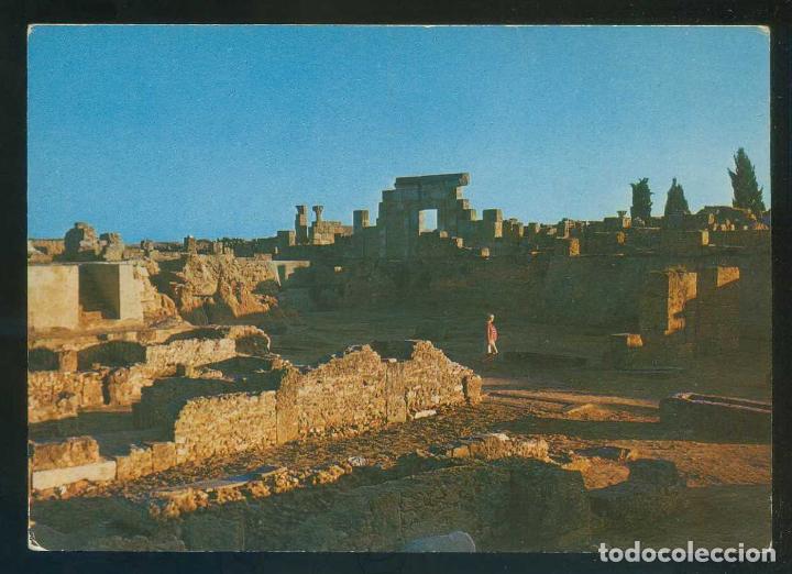 Postais: T&uacute;nez. Carthage. *Coucher de soleil...* Ed. Reguioui - Chamam n&ordm; C77. Nueva.