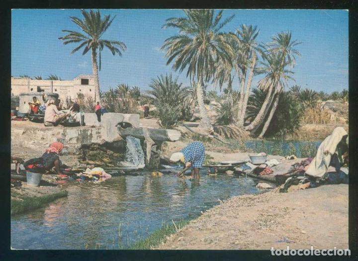 Postais: T&uacute;nez. K&eacute;bili. *Source dans l'Oasis* Ed. Chamam n&ordm; C188. Nueva.