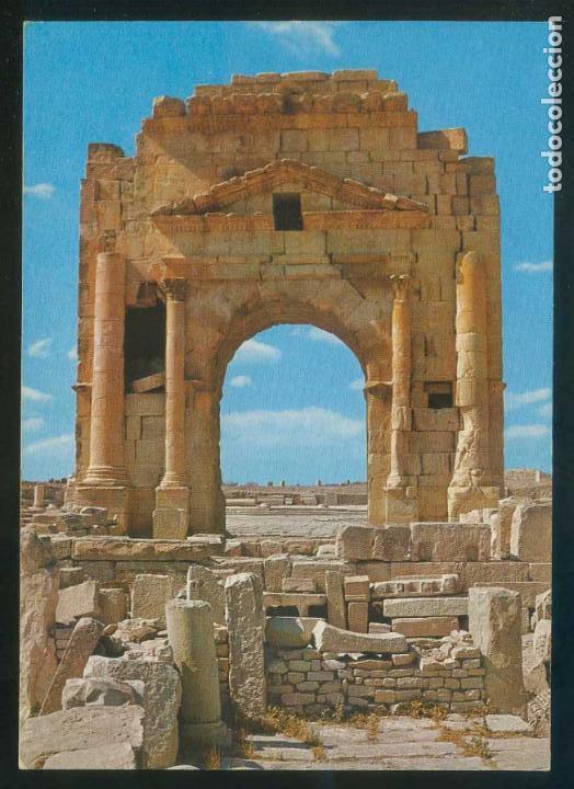 Postais: T&uacute;nez. Maktar. *Ruines Romaines* Ed. Reguioui - Chamam n&ordm; C5. Nueva.
