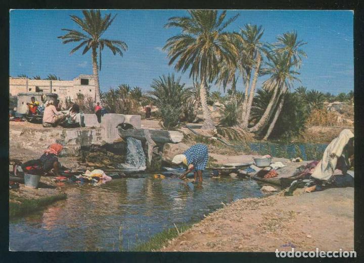 Postais: T&uacute;nez. K&eacute;bili. *Source dans l'Oasis* Ed. Chamam n&ordm; C188. Nueva.