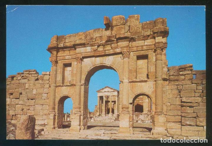 Cartes Postales: T&uacute;nez. Sbeitla. *Le Forum* Ed. Tanit n&ordm; 207. Nueva.