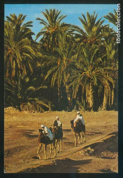 Cartes Postales: T&uacute;nez. Tozeur. Ed. Kahia n&ordm; 332. Nueva.