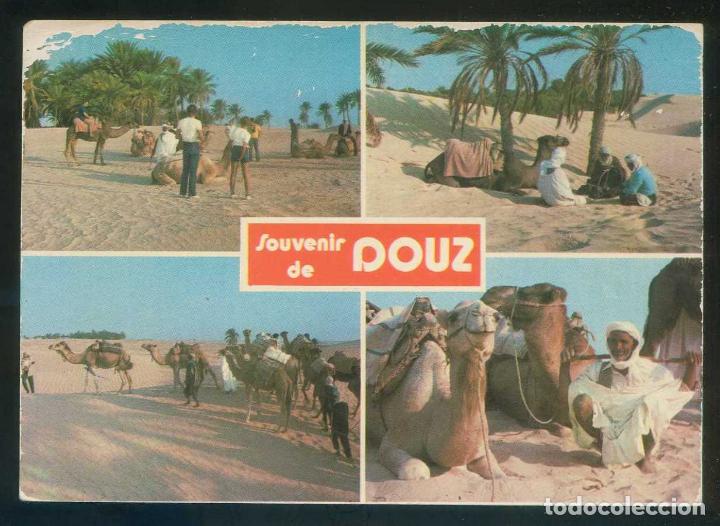 Postais: T&uacute;nez. Douz. *Souvenir de Douz* Ed. Chamam. Circulada 1993