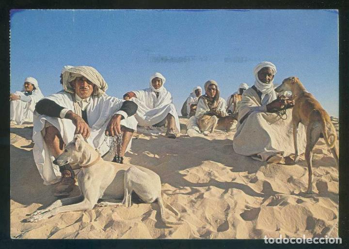 Postais: T&uacute;nez. Douz. *Les Sloughis et leur ma&icirc;tres* Ed. Tanit n&ordm; 556. Circulada 1993.