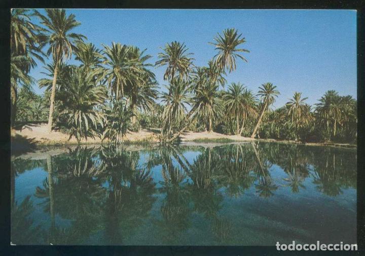 Postais: T&uacute;nez. R&eacute;gion Kebili-Douz. *L'Oasis de Naja* Ed. Tanit n&ordm; 312. Nueva.