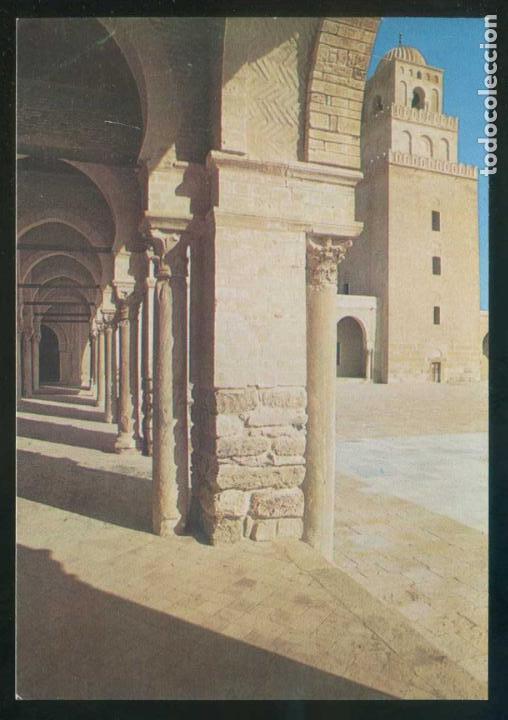 Postais: T&uacute;nez. R&eacute;gion Kebili-Douz. *L'Oasis de Naja* Ed. Tanit n&ordm; 312. Nueva.