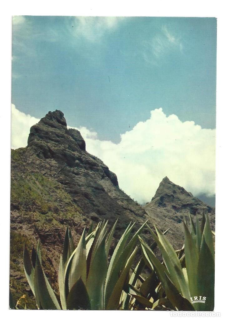 Cartes Postales: ISLAS LA REUNION.- N&ordm; 6005, ROUTE DE CILAOS. RUTA DE CILAOS- SIN CIRCULAR. A&Ntilde;OS 70
