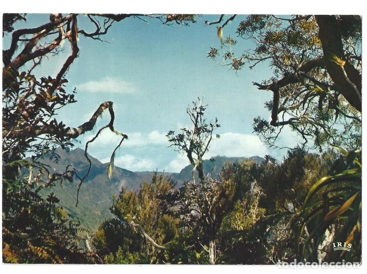 Cartes Postales: ISLAS LA REUNION.- N&ordm; 6024, PAYSAGE DE SALAZIE. PAISAJE DE SALAZIA- SIN CIRCULAR. A&Ntilde;OS 70