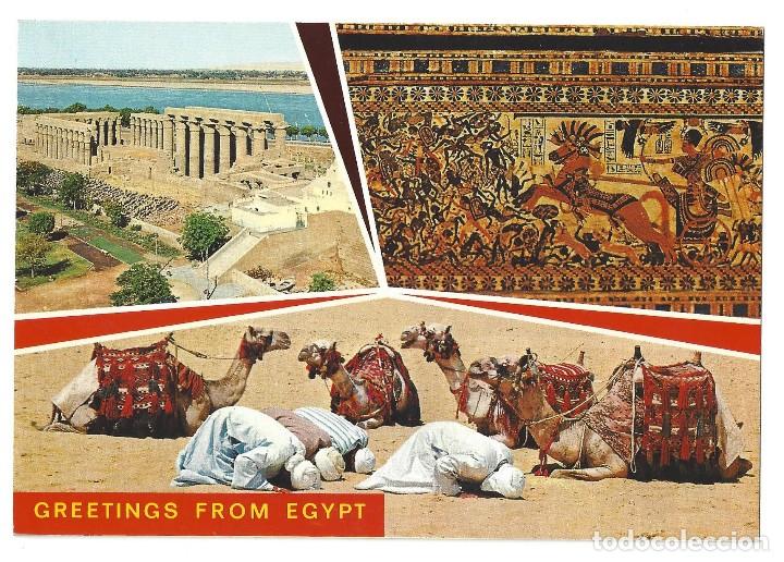 Cartes Postales: GREETINGS FROM EGYPT.- N&ordm; 320, SOUVENIR D'EGYPTE. RECUERDO DE EGIPTO- SIN CIRCULAR. A&Ntilde;OS 70