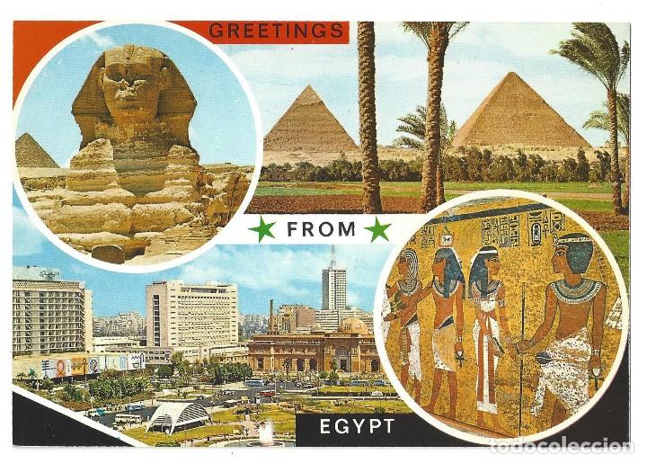 Cartes Postales: GREETINGS FROM EGYPT.- N&ordm; 317, SOUVENIR D'EGYPTE. RECUERDO DE EGIPTO- SIN CIRCULAR. A&Ntilde;OS 70