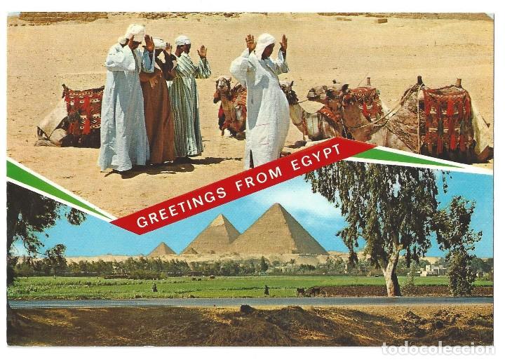 Cartes Postales: GREETINGS FROM EGYPT.- N&ordm; 314, SOUVENIR D'EGYPTE. RECUERDO DE EGIPTO- SIN CIRCULAR. A&Ntilde;OS 70